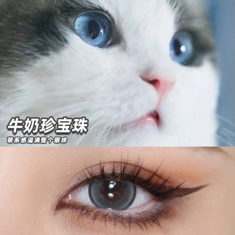 monicamor波斯猫灰美瞳半年抛女混血蓝灰色大直径近视隐形眼镜tn