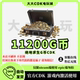 pubgg币绝地求生 11200 G币 充值吃鸡金币激活码CDK箱子套装皮肤