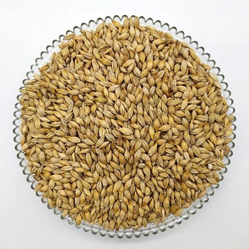 大麦种子可榨汁