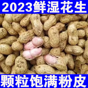 2023新鲜花生湿生花生带泥带壳粉皮两粒花生水煮大花生农家自种