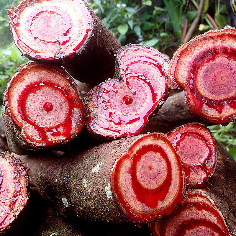 野生鸡血藤根片中药材正品鸡血滕血风藤鸡血屯原材料泡茶已售300新品