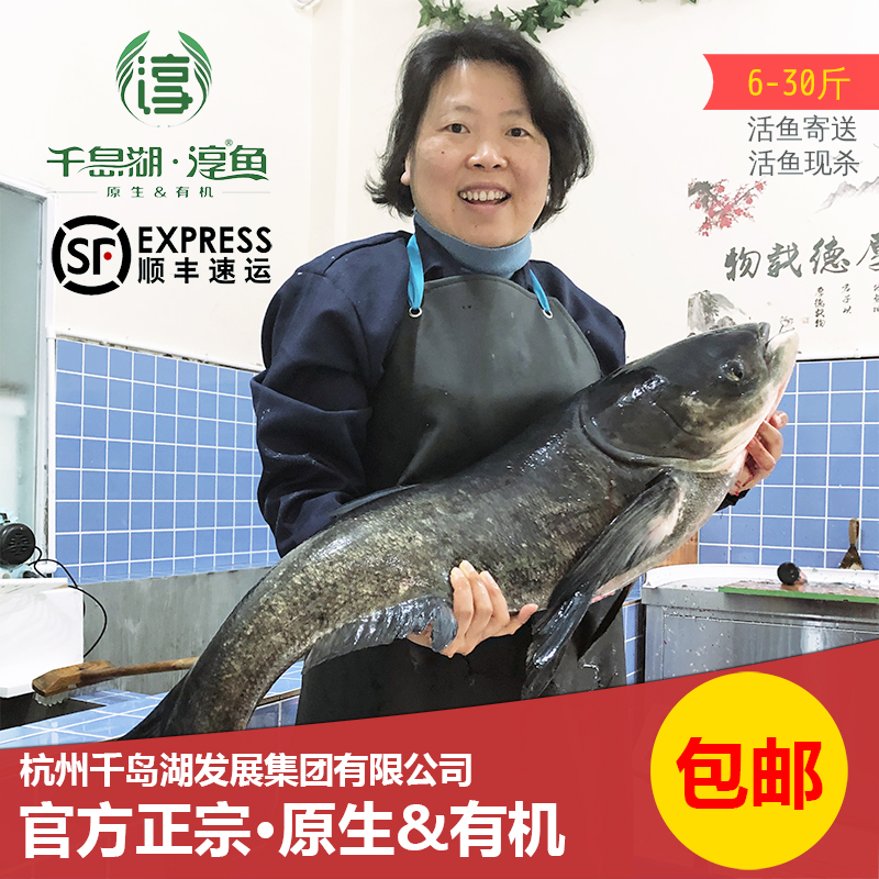 千岛湖淳牌有机胖头鱼鳙鱼花鲢鱼整条出售生鲜全鱼活鱼6斤起