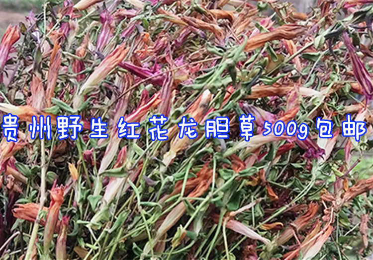 贵州特产野生红花龙胆草500g 中草药材龙胆花小青鱼胆星秀花 包邮