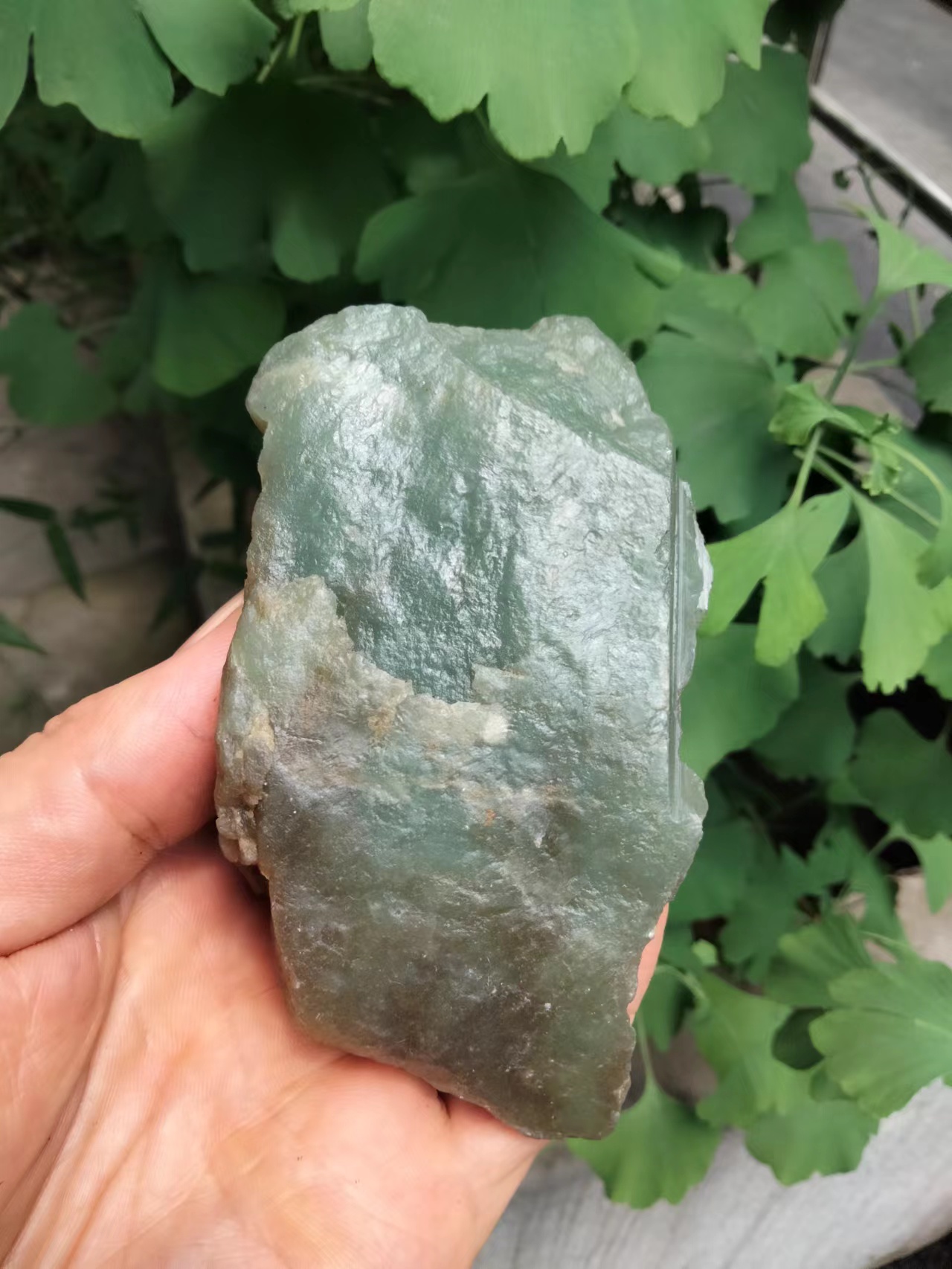 和田玉且末山料原石