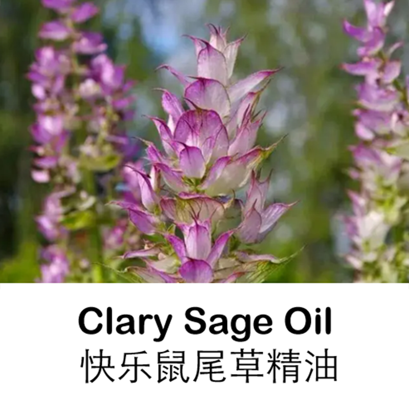 进口法国快乐鼠尾草精油10ml纯单方精油缓解闭口平衡女性机能