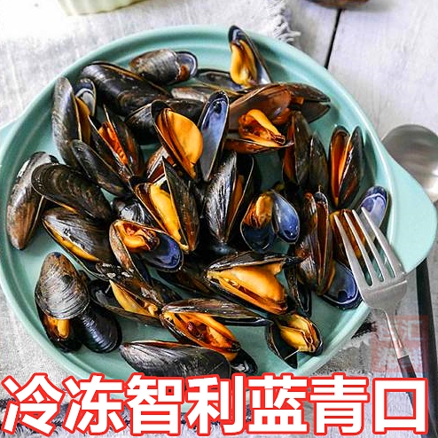 【冷冻智利蓝青口】1kg贻贝海鲜餐吧
