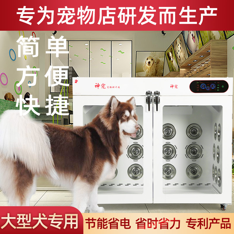 宠物烘干箱小型犬家用神器吹水机拉毛洗澡全自动静音猫咪泰迪狗用