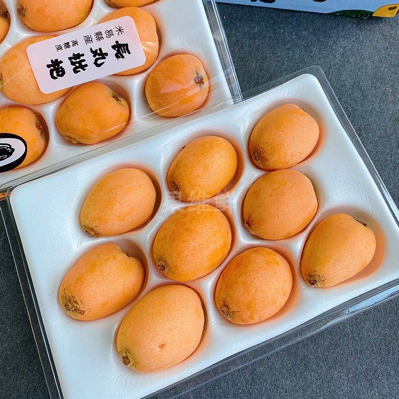 乐拉长丸枇杷 16-18颗/盒 四川米易特产 当季新鲜水果 限北京同城(去