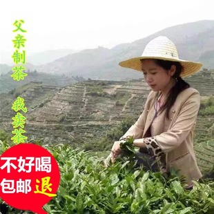 高山春茶安溪铁观音浓香型新茶叶生态秋手工兰花香清香型韵香500g