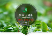 2021 Wudang Road Tea Mingqiantou Dao Tender Bud Spring Tea Green Tea Wudang Sword Tea Ancient Method Fried Fragrance 100g Pack