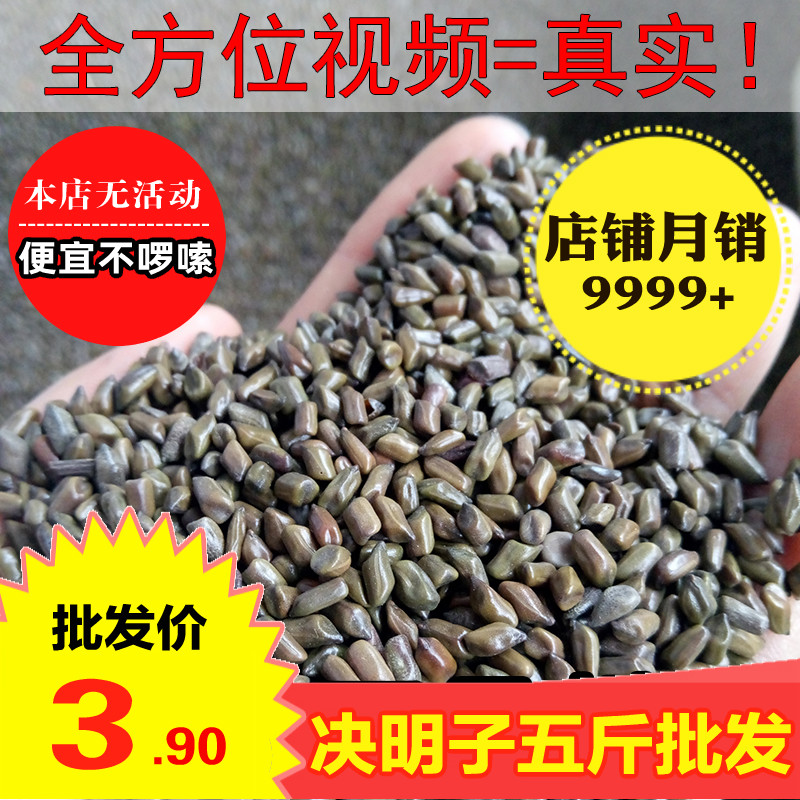 决明子500克 正品散装做枕芯枕头 儿童家用沙池玩具沙 正己干货在类目 传统滋补营养品, 药食同源食品, 决明子中 - 来自Buy2taobao.com提供专业的淘宝代购服务