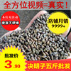 决明子500克 正品散装做枕芯枕头 儿童家用沙池玩具沙 正己干货 决明子500克 正品散装做枕芯枕头 儿童家用沙池玩具沙 正己干货