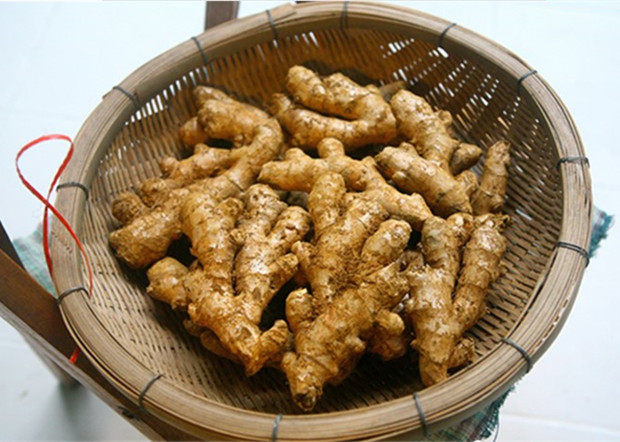 姜味香浓农家自种小黄姜新鲜月子姜老姜生姜农产品广东韶关土特产