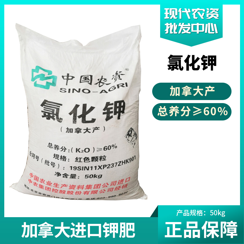 钾肥 农用钾肥 氯化钾加拿大进口钾肥 60%钾肥 氯化钾