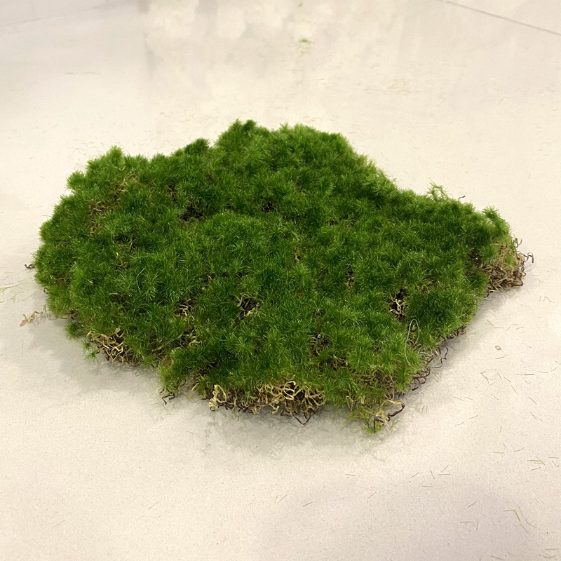 苔藓皮苔藓块青苔植绒摆件软装造景假山草皮草坪毛石头仿真苔藓块