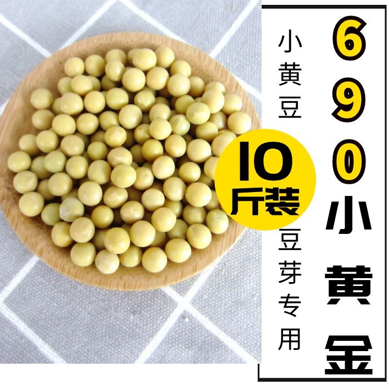 东北黑龙江小粒黄豆690生发豆芽专用纳豆的黄大豆浆10斤农家自种-泡美