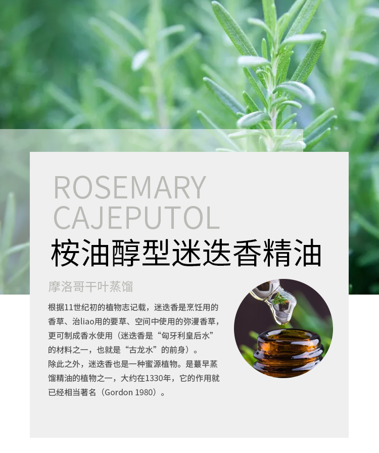 diy资本家桉油醇迷香精油护发生长头发香薰控油单方精油