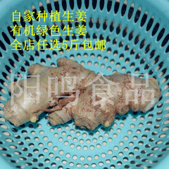 15年新姜生姜 自家种植有机生姜黄姜5斤包邮山东大姜500g