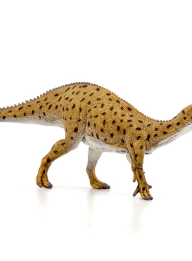 正品英国collecta1:40 福井龙侏罗纪恐龙模型认知玩具我你他88871