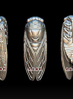 知了stl圆雕图三维模型金蝉雕刻图雕刻机cnc四轴3d打印新款精雕图