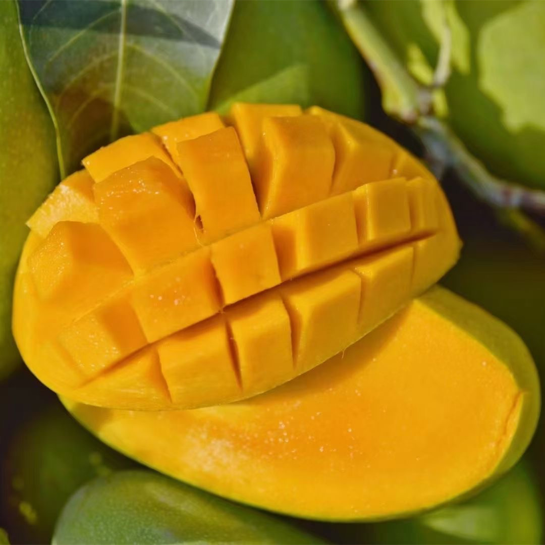 四川攀枝花小金煌芒 皮薄核小香甜新鲜芒果应季时令水果5斤包邮
