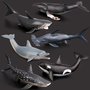 软质大号仿真鲨鱼鲸鱼模型玩具海洋动物生物大白鲨座头鲸水族道具