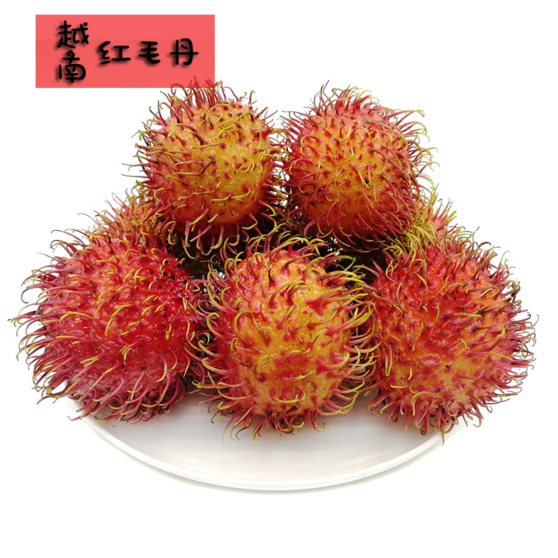 Vietnam Rambutan 4 pounds Tropical fresh fruit Imported Mao litchi Pingxiang Deliver goods Southeast Asia Redskinsin the Aquatic meat/Fresh fruits and vegetables/Cooked , Fresh fruit , Mao Dan/Mao litchi category - from Buy2taobao.com to provide professional Taobao agent buy service