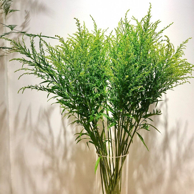 新鲜玫瑰花批发_新鲜黄莺草鲜花百搭玫瑰向日葵洋桔梗配花云南直发