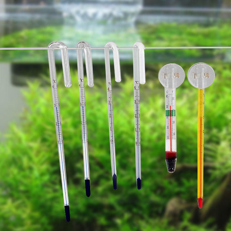 特价温度计水温鱼缸 吸盘式_鱼缸温度计水族用测水温箱高精度挂钩吸盘