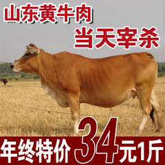 农家放养黄牛 新鲜生牛肉 生鲜牛肉 牛腱子牛腩牛里脊肉 鲜牛肉