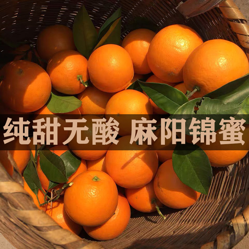 湖南怀化麻阳锦蜜冰糖橙新鲜水果现摘现发应季橙子带箱10斤甜橙