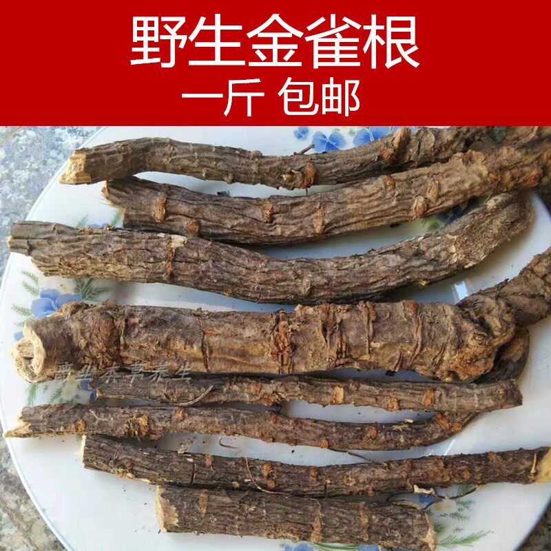 中药材野生金雀根 锦鸡儿 白心皮 阳雀花根 金雀花根包邮500克