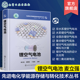 先进电化学能源存储与转化技术丛书 锂空气电池 麦立强 各类锂空气电池的工作原理发展现状目前挑战和未来方向 新能源材料专业参考