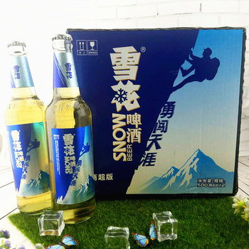 雪花啤酒雪花勇闯天涯整箱500ml*24瓶 聚会聚餐 多省包邮