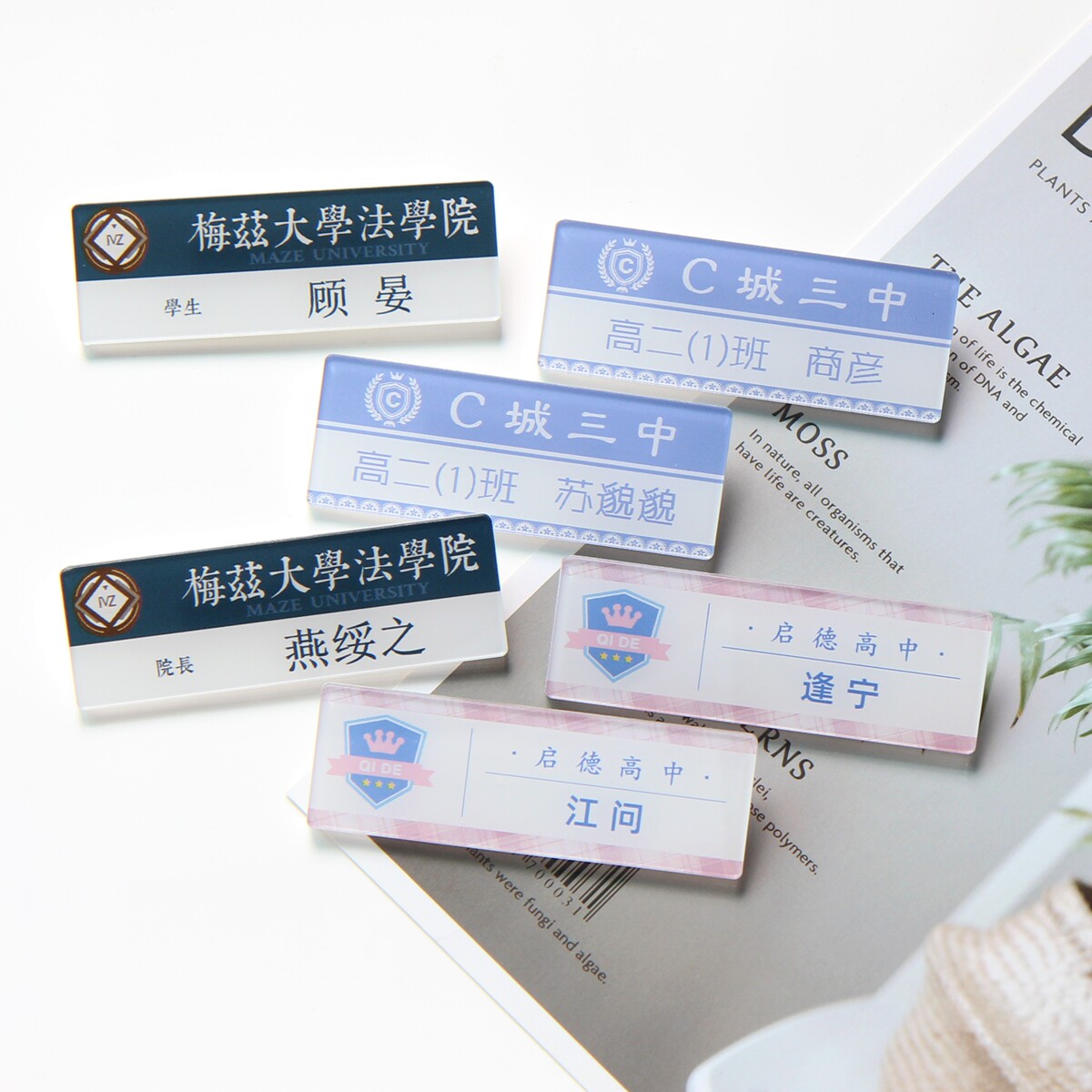 原耽小说胸针许盛邵湛路星辞段嘉衍商彦江问逢宁白洛因胸牌校徽