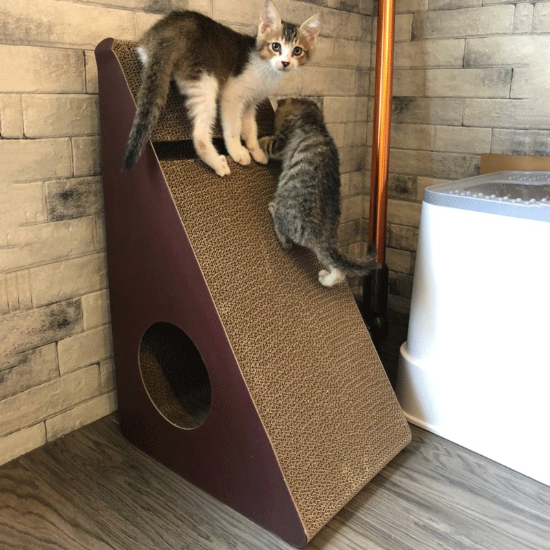 猫抓板大号 特大_猫抓板立式大号特大爪子磨爪器猫爬板猫爪板猫捉板不