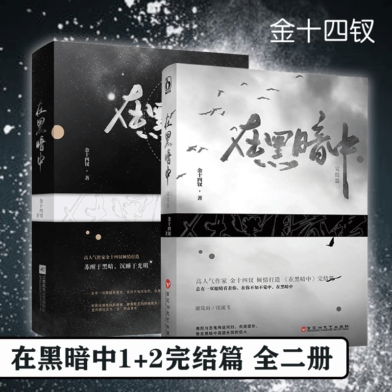 在黑暗中(上下)2册 金十四钗著《逆光者》电视原著总有一双眼睛看着你