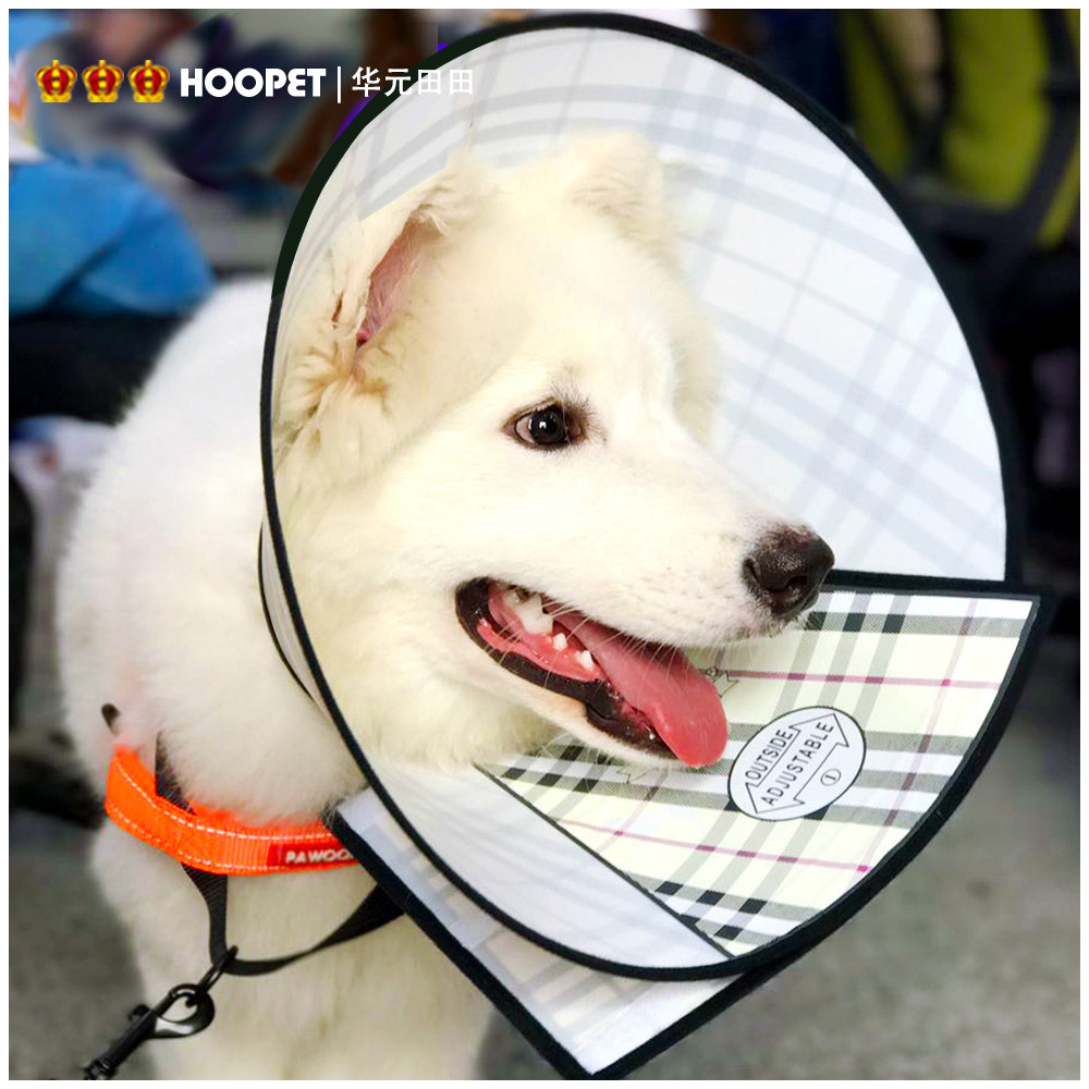 圈软防舔咬大型犬猫咪头罩套头脖套法斗头套狗狗耻辱项圈优惠券