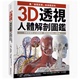 【预售】台版 3D透视人体解剖图鉴 墨刻 沙莱特 韦塔登 *身历其境的身体百科用专业医学科学剖析带你深度探索人体奥秘科技书籍