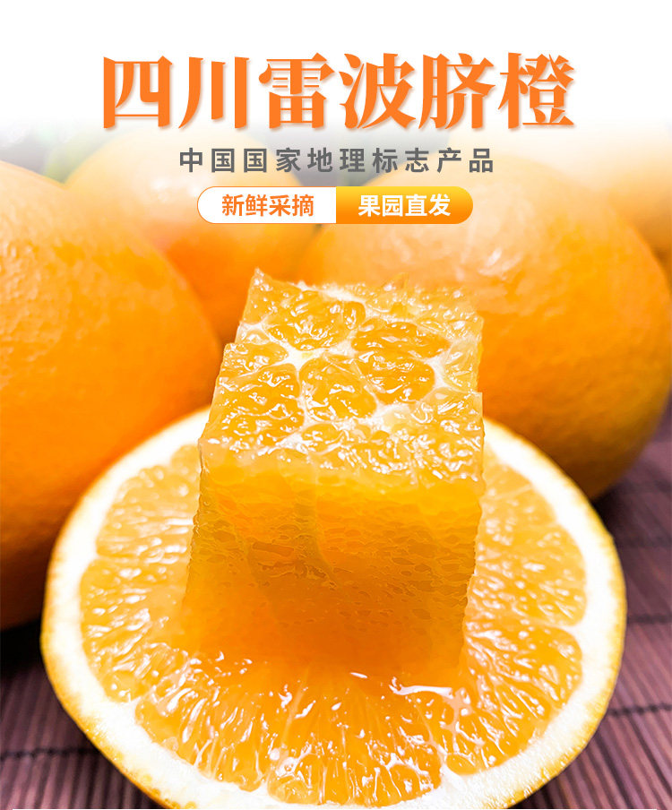 热销雷波脐橙大凉山20斤