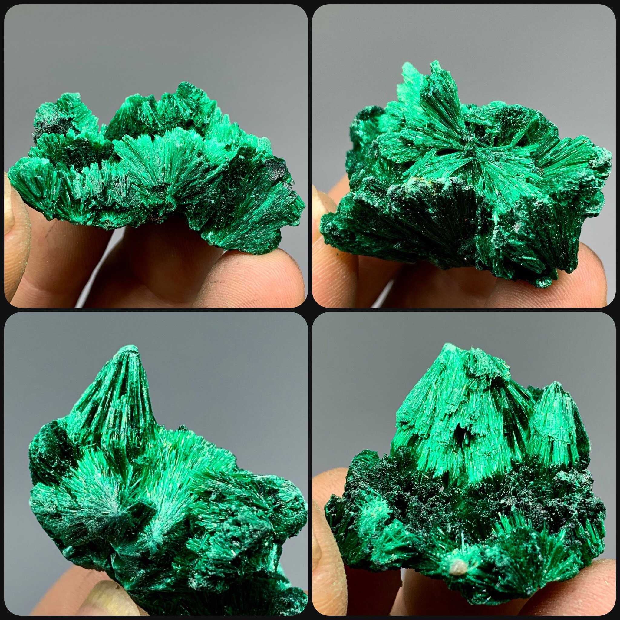 精选刚果针状放射状孔雀石天然矿物晶体教学标本矿石原石摆件