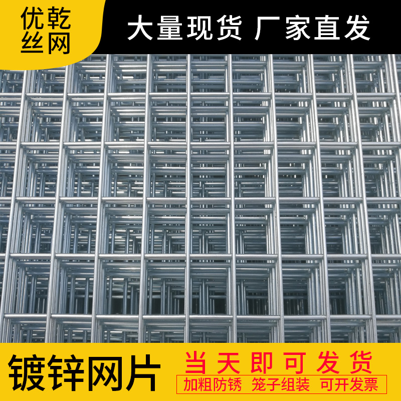 镀锌铁丝网片建筑网格加粗养殖隔离网狗笼子电焊接钢丝围栏防护网