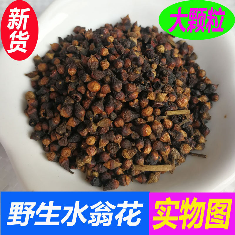 水翁花中药材水雍花500克 广西野生水瓮花水翁籽 酒瓮酒翁子新货