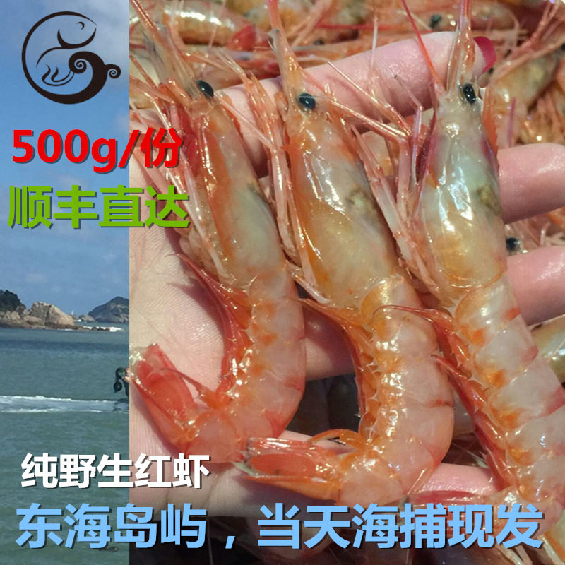 东海野生海虾新鲜红绿头虾红虾海鲜水产500g3斤顺丰包邮