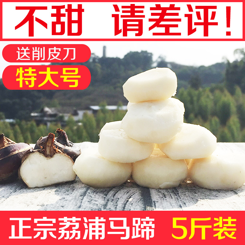 【特大号】正宗广西特产荔浦马蹄 新鲜荸荠现挖地梨农家种植5斤装在类目 水产肉类/新鲜蔬果/熟食, 新鲜蔬菜/蔬菜制品, 新鲜蔬菜, 荸荠/马蹄中 - 来自Buy2taobao.com提供专业的淘宝代购服务