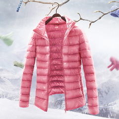 冬季新款立领轻薄款羽绒服 女士短款修身韩版时尚保暖外套