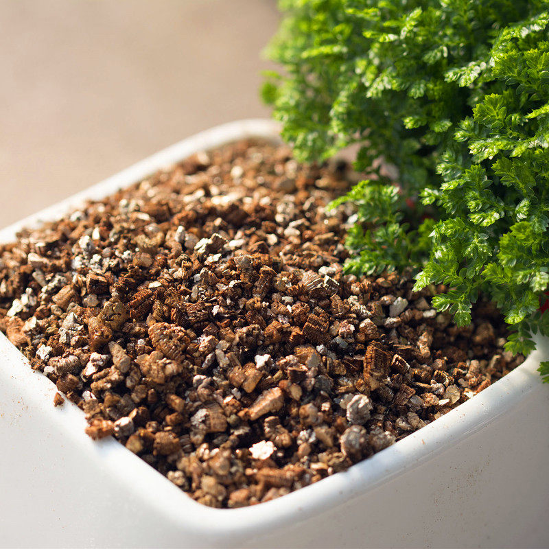 蛭石花用多肉扦插珍珠岩养花育苗发根包邮清仓孵化龟蛋至石颗粒土