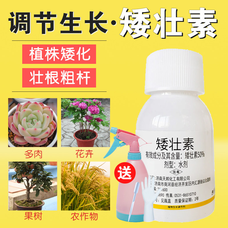 矮壮素多肉矮胖素花卉矮壮剂植物矮化剂花木百合菊花控旺长壮矮素