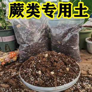 蕨类植物专用土铁线蕨鳞毛蕨狗脊蕨波斯顿蕨通用营养土盆栽种植土