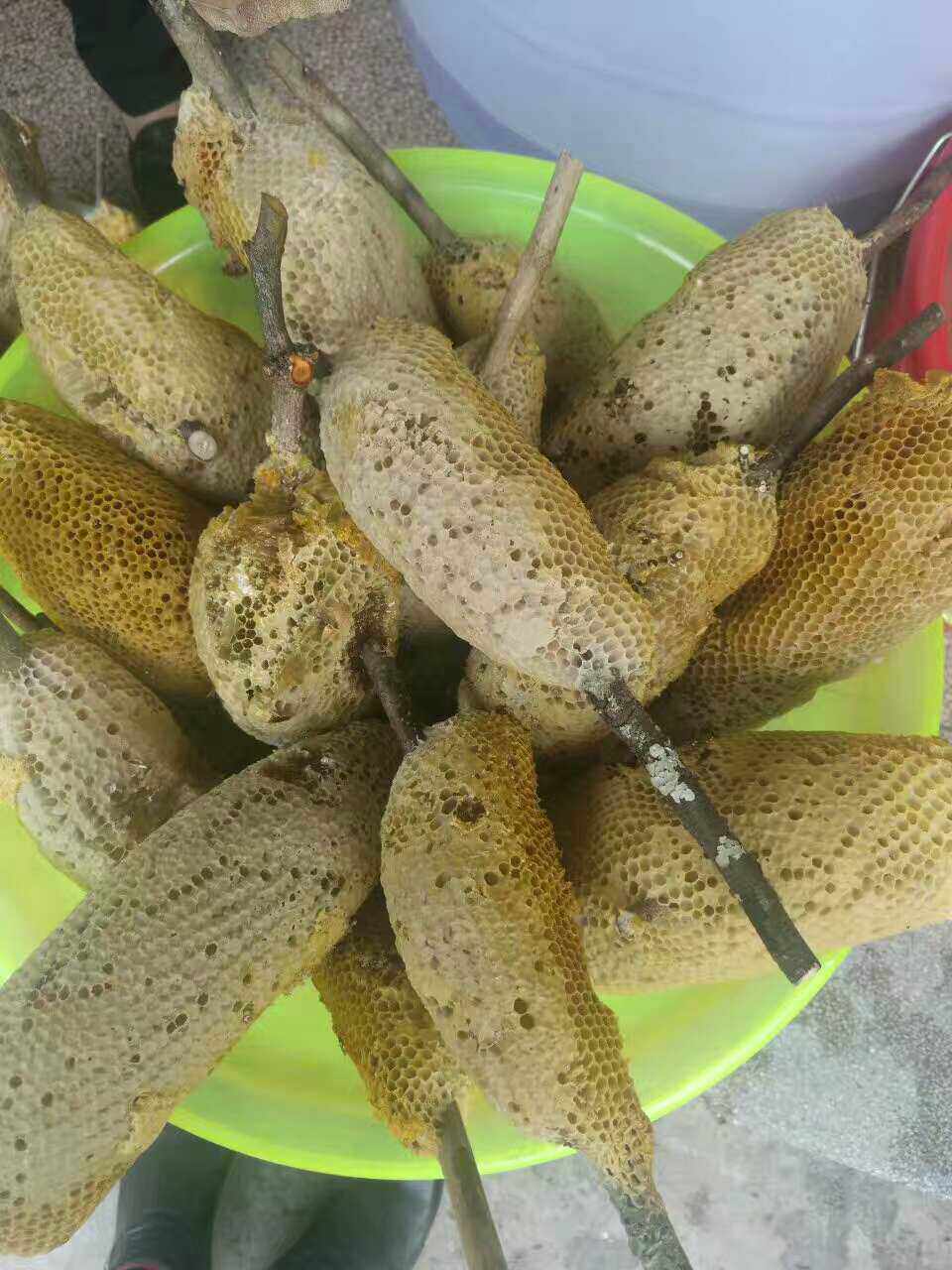 云南野生蜂蜜百花蜜小挂蜜2020春季新上市